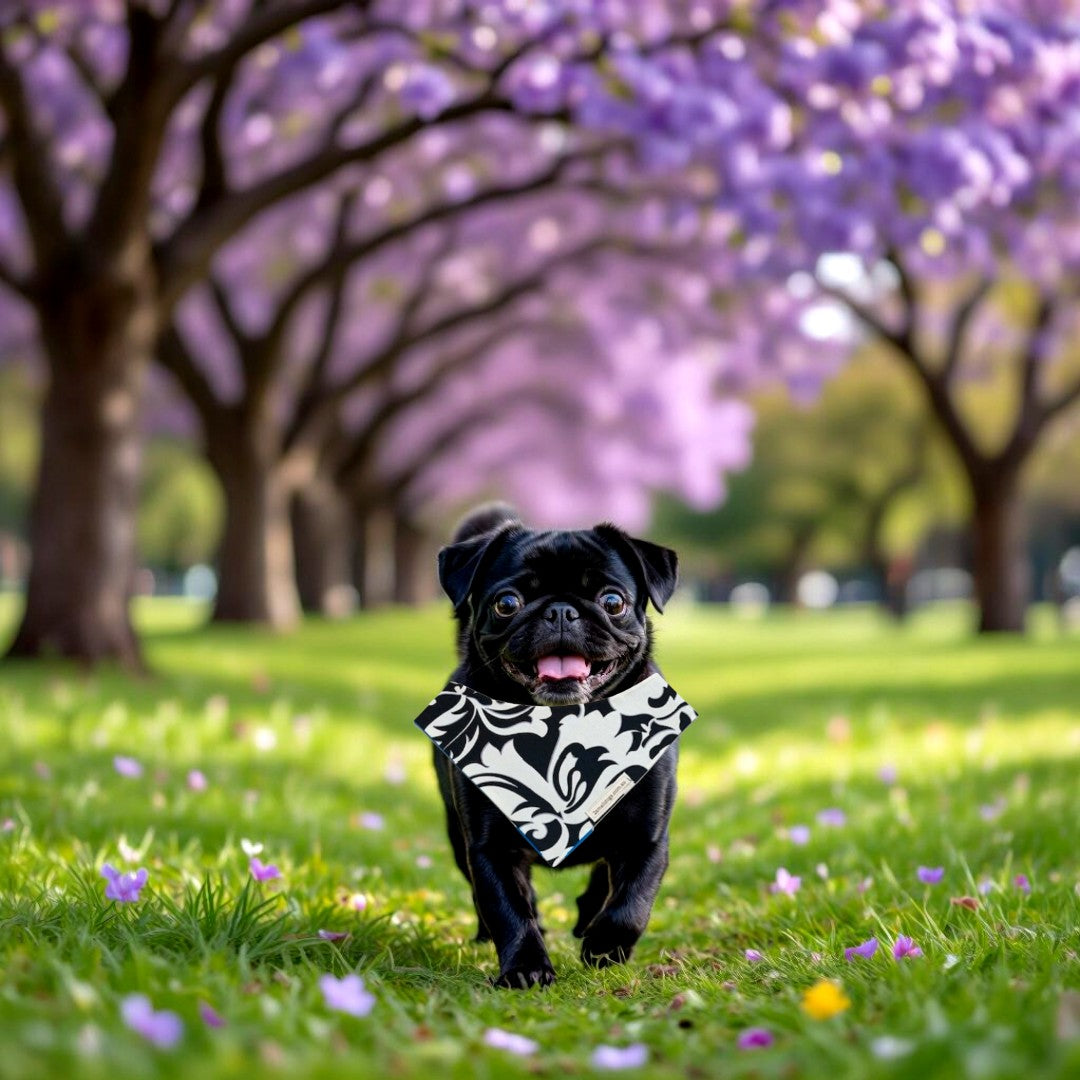 The Black & White Affair Bandana